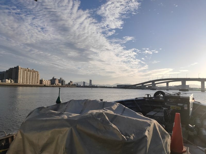 船上からの調査