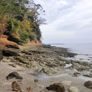 海岸の維持管理